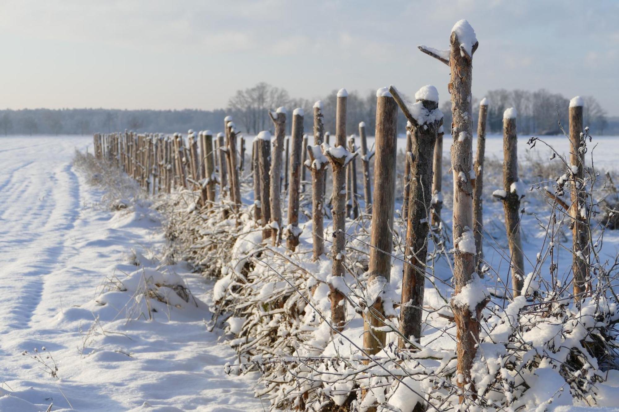 Naturgarten Karlsfeld In Der Schoenen Lausitz Welzow Luaran gambar